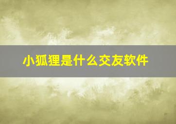 小狐狸是什么交友软件