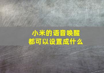 小米的语音唤醒都可以设置成什么