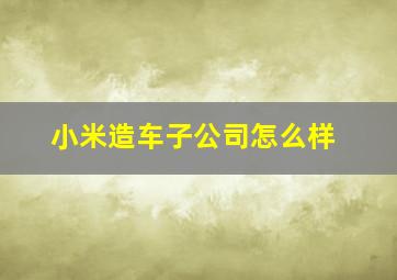 小米造车子公司怎么样