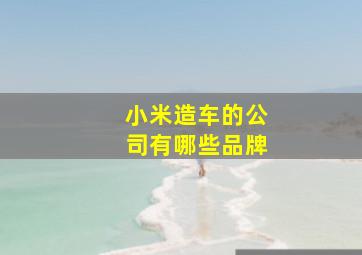 小米造车的公司有哪些品牌