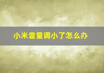 小米音量调小了怎么办