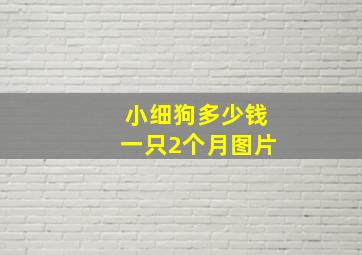 小细狗多少钱一只2个月图片