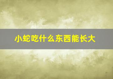 小蛇吃什么东西能长大