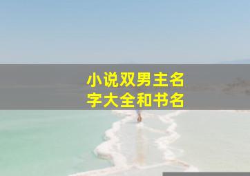 小说双男主名字大全和书名