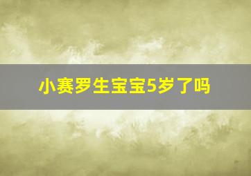 小赛罗生宝宝5岁了吗