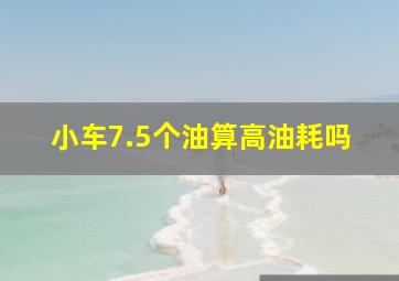 小车7.5个油算高油耗吗