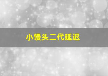 小馒头二代延迟