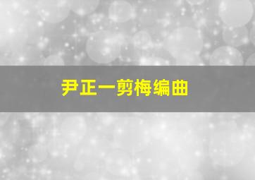 尹正一剪梅编曲