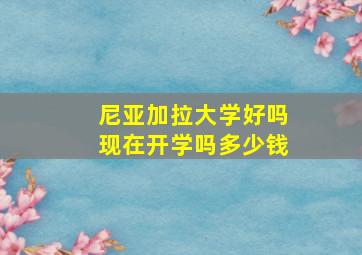 尼亚加拉大学好吗现在开学吗多少钱