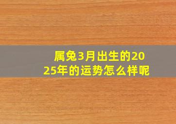 属兔3月出生的2025年的运势怎么样呢