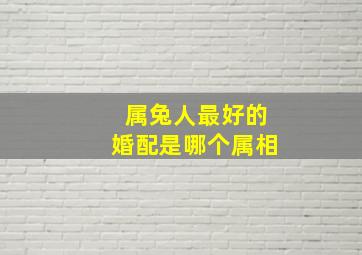 属兔人最好的婚配是哪个属相