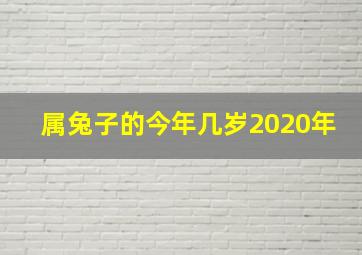 属兔子的今年几岁2020年