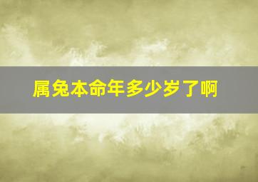 属兔本命年多少岁了啊