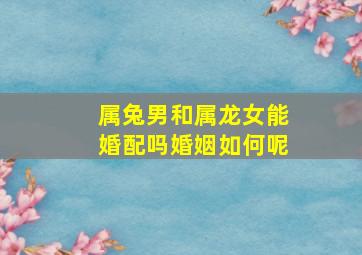 属兔男和属龙女能婚配吗婚姻如何呢