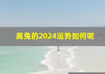 属兔的2024运势如何呢