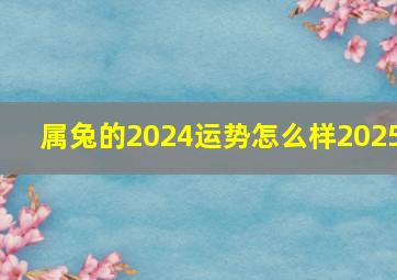 属兔的2024运势怎么样2025