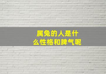 属兔的人是什么性格和脾气呢