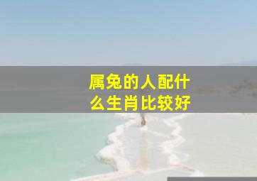 属兔的人配什么生肖比较好