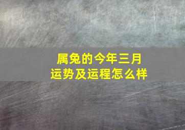 属兔的今年三月运势及运程怎么样