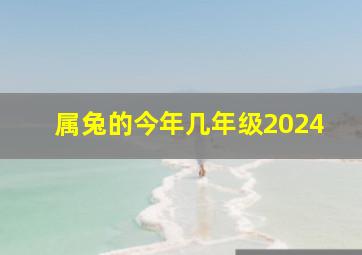 属兔的今年几年级2024