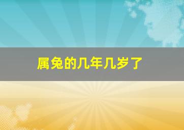 属兔的几年几岁了