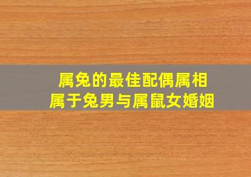 属兔的最佳配偶属相属于兔男与属鼠女婚姻