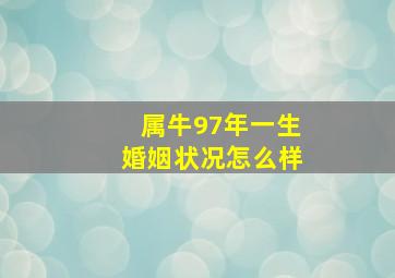 属牛97年一生婚姻状况怎么样