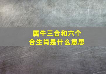 属牛三合和六个合生肖是什么意思