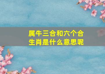 属牛三合和六个合生肖是什么意思呢