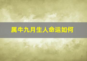 属牛九月生人命运如何