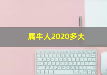 属牛人2020多大