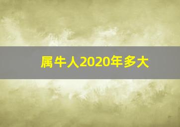 属牛人2020年多大