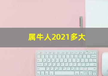 属牛人2021多大