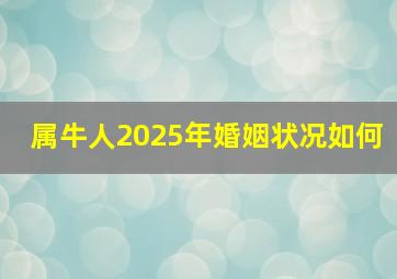 属牛人2025年婚姻状况如何