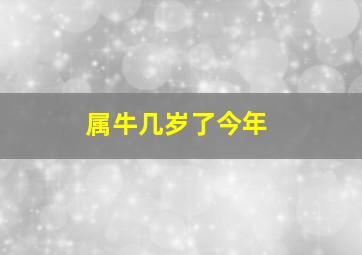 属牛几岁了今年