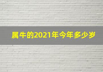 属牛的2021年今年多少岁