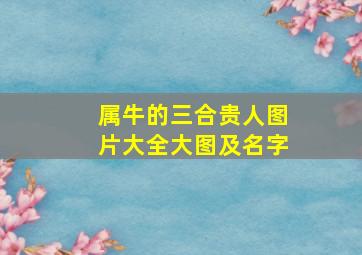 属牛的三合贵人图片大全大图及名字