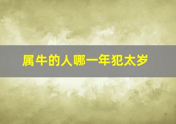 属牛的人哪一年犯太岁