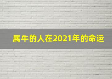 属牛的人在2021年的命运