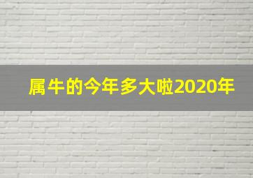 属牛的今年多大啦2020年