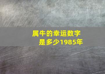 属牛的幸运数字是多少1985年