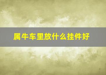 属牛车里放什么挂件好