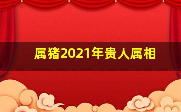 属猪2021年贵人属相