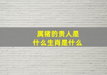 属猪的贵人是什么生肖是什么