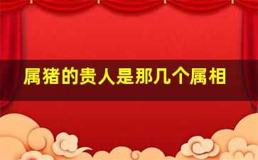 属猪的贵人是那几个属相