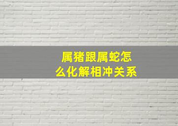 属猪跟属蛇怎么化解相冲关系