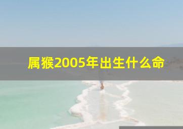 属猴2005年出生什么命