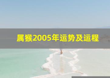 属猴2005年运势及运程