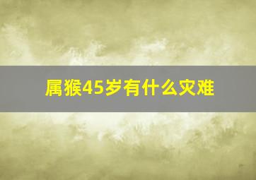 属猴45岁有什么灾难