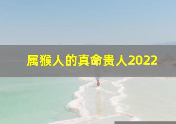 属猴人的真命贵人2022